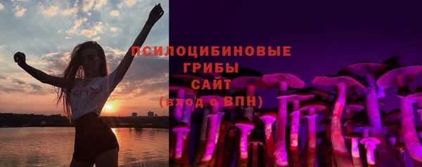 а пвп мука Абаза