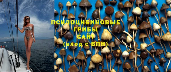 apvp Абинск