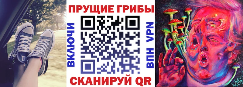 блэк спрут ссылки  Чекалин  Галлюциногенные грибы мухоморы 